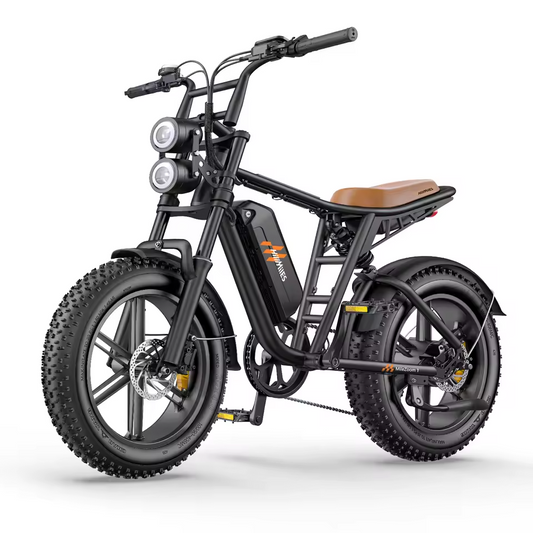 EasyRider™